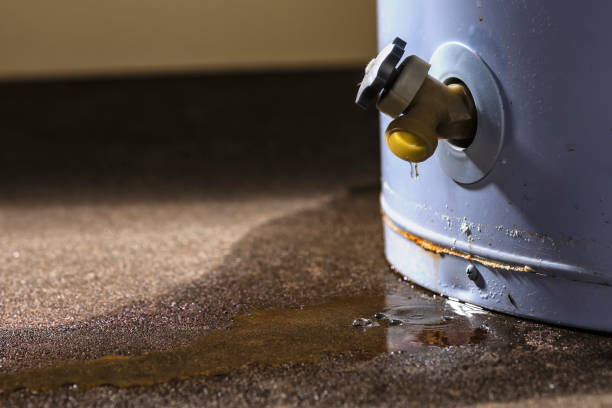 Best 24-hour water damage restoration  in Holyoke, CO
