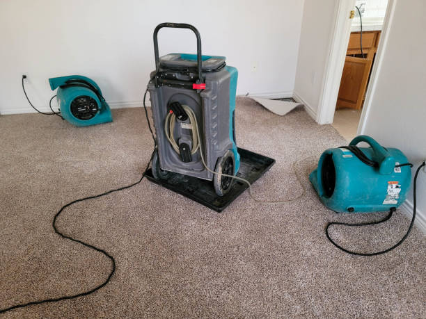 Best Residential water damage restoration  in Holyoke, CO