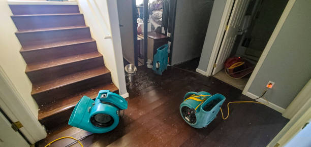 Best Flooded house restoration  in Holyoke, CO