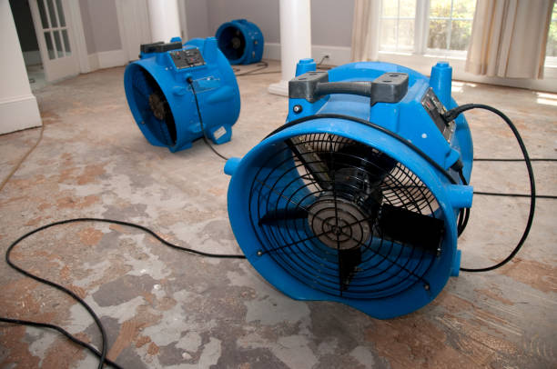 Professional Water damage restoration in Holyoke, CO