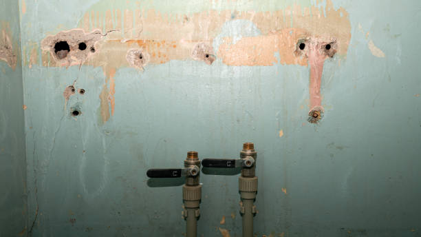 Best Water damage contractors near me  in Holyoke, CO