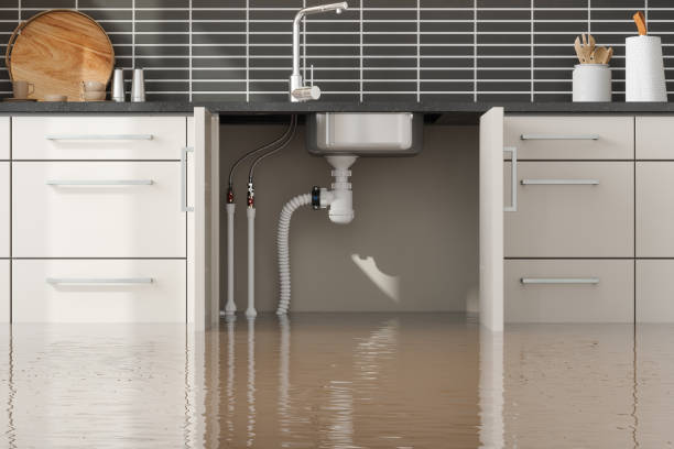 Best Water damage cleanup near me  in Holyoke, CO