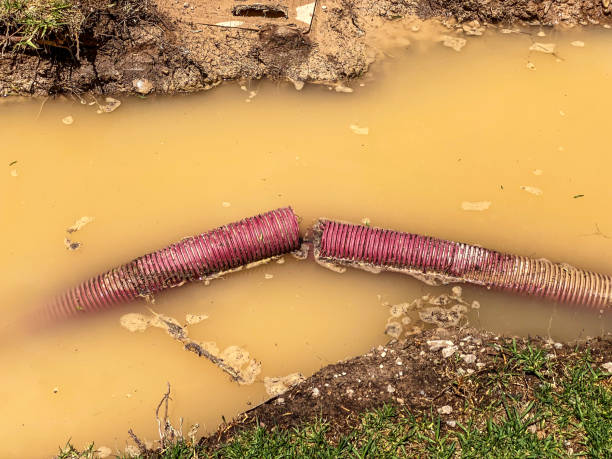 Best Carpet water damage restoration  in Holyoke, CO