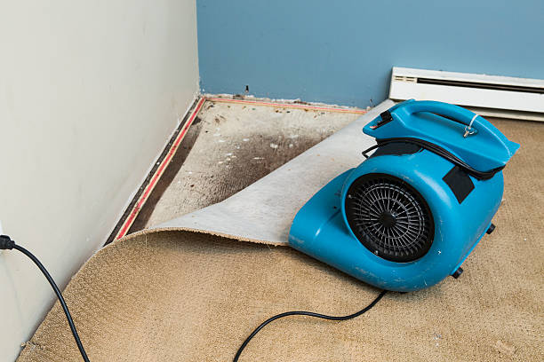 Best Fire Damage Restoration  in Holyoke, CO